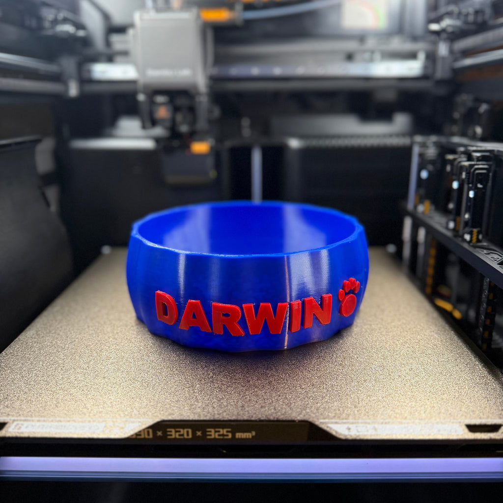 CUSTOM PET BOWL